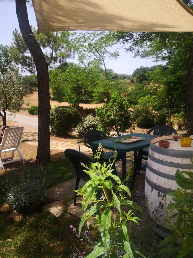 Podere Pini Magliano in Toscana Εξωτερικό φωτογραφία
