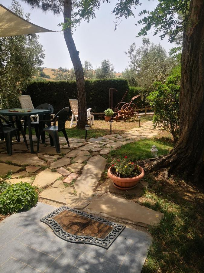 Podere Pini Magliano in Toscana Εξωτερικό φωτογραφία
