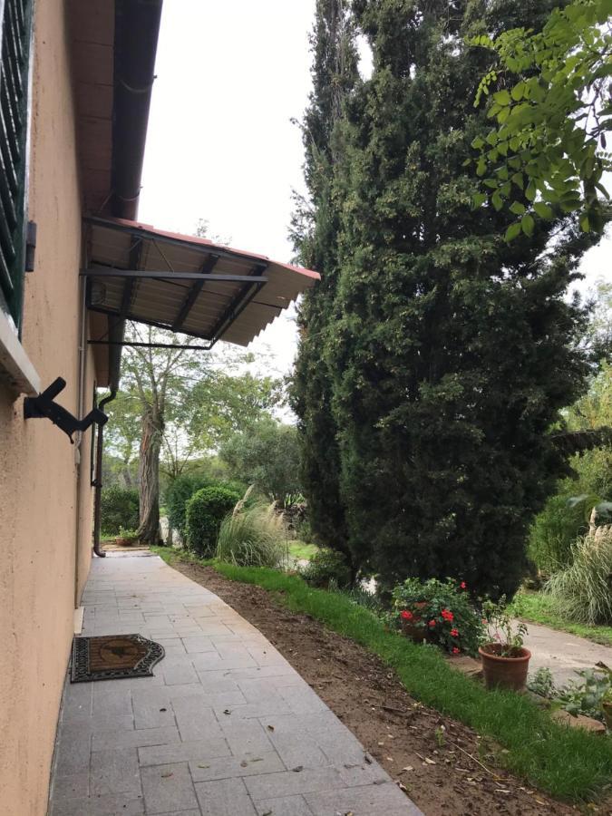 Podere Pini Magliano in Toscana Εξωτερικό φωτογραφία