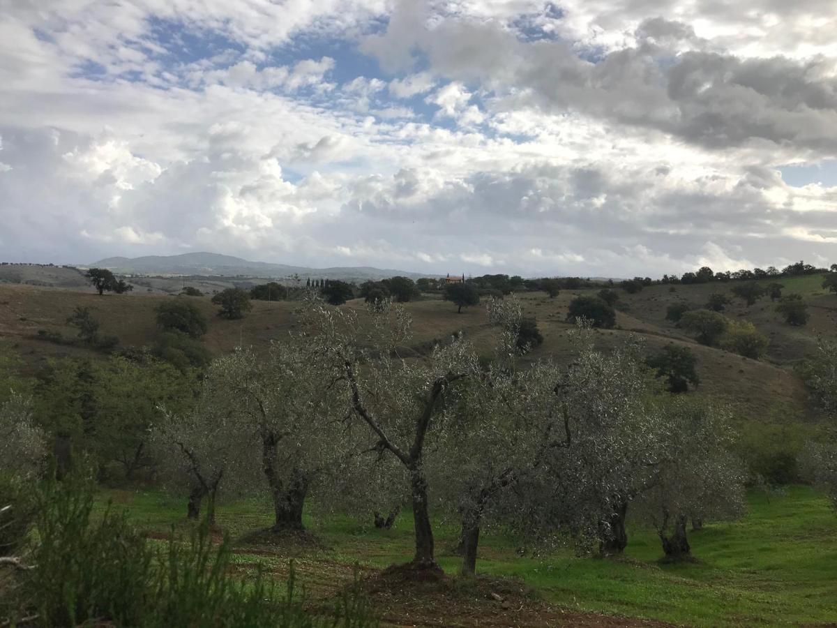 Podere Pini Magliano in Toscana Εξωτερικό φωτογραφία